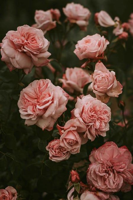 Beautiful Nature image