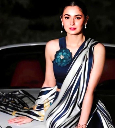 Pakistani Celebs image