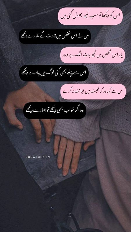 ❤️❤️❤️❤️❤️