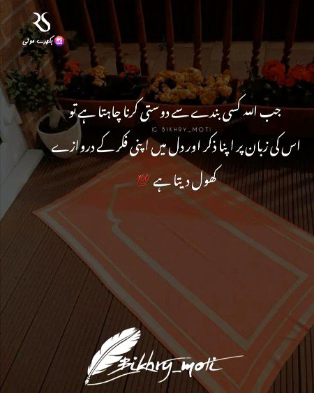 Islamic Quotes image