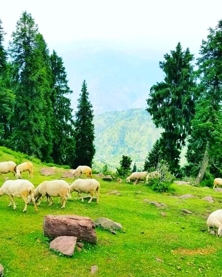 Beautiful Nature image