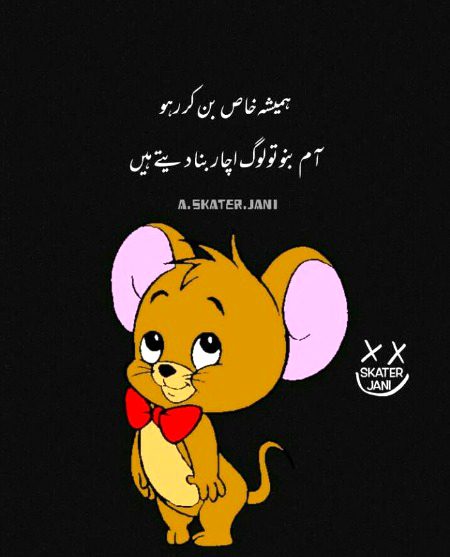 Memes & Satire image