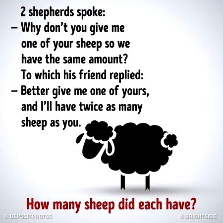 Riddles & Puzzles image