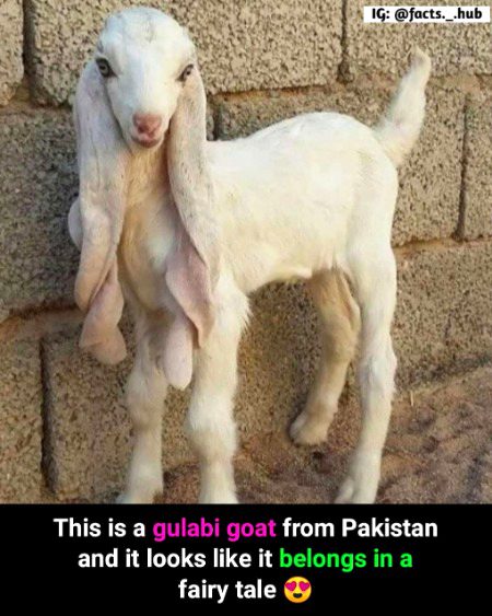 Interesting Posts image