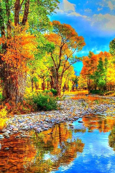 Beautiful Art painting