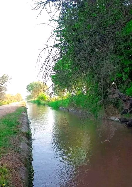 Beautiful Nature image
