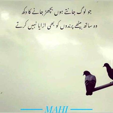 bilkul 🌹🍀🌹🍀🌹🍀