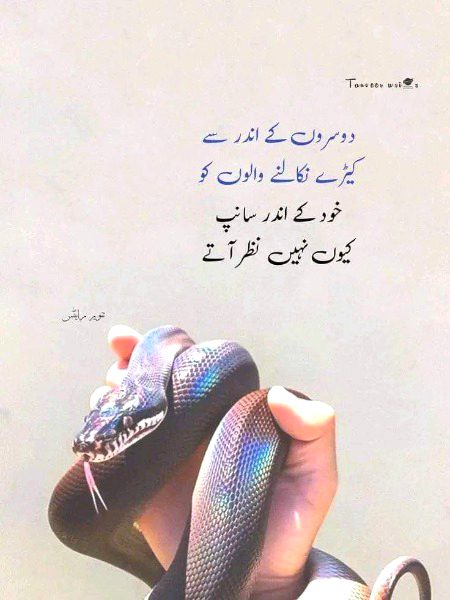 No CAPTION