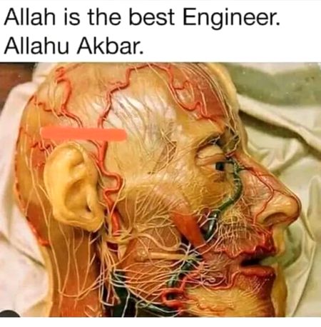 😣😮😕😑😯😑