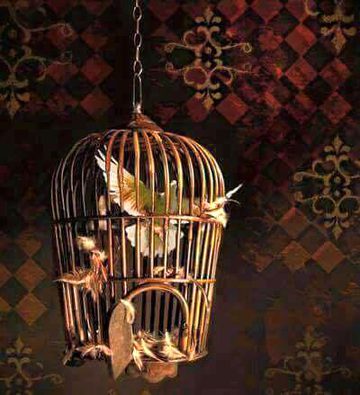 Qafas main rehtay rehtay ho gayi sayyad se ulfat...
Main khud he noch leta hun mere jab parr nikaltay hain 😓😪💔💔
