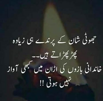 Attitude Quotes image