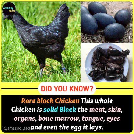 Interesting Posts image