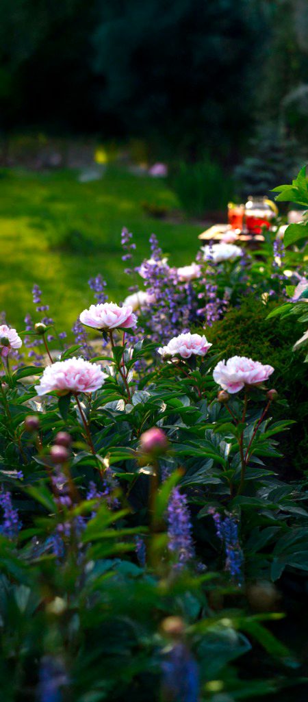 Beautiful Nature image