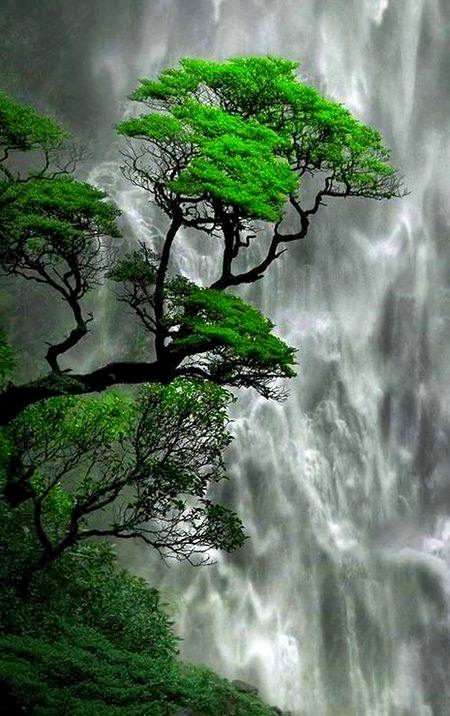 BEAUTIFUL NATURE