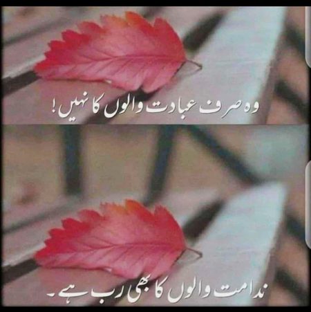 Beshak ❤️❤️