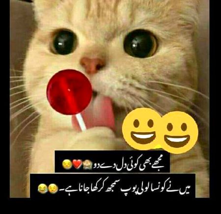 Jokes image