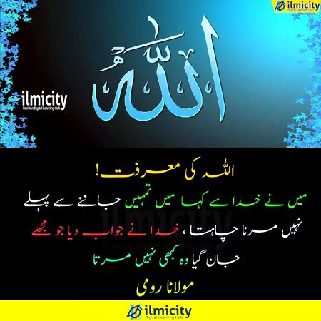 Islamic Quotes image