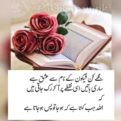 Islamic Quotes image