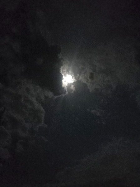 یہ دیس ہے اندھے لوگوں کا
اے چاند یہان نہ نکلا کر