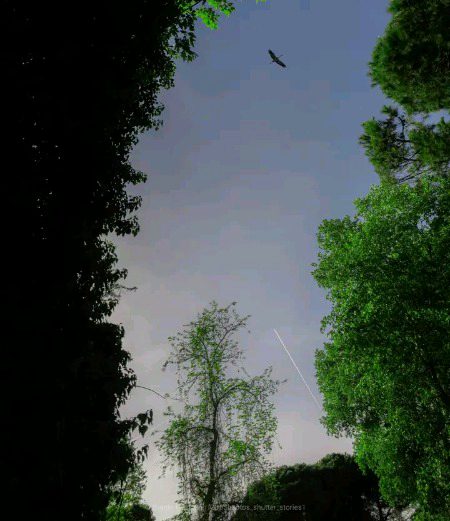 Beautiful Nature image