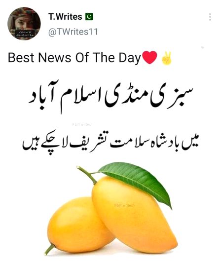 Mango man is comings