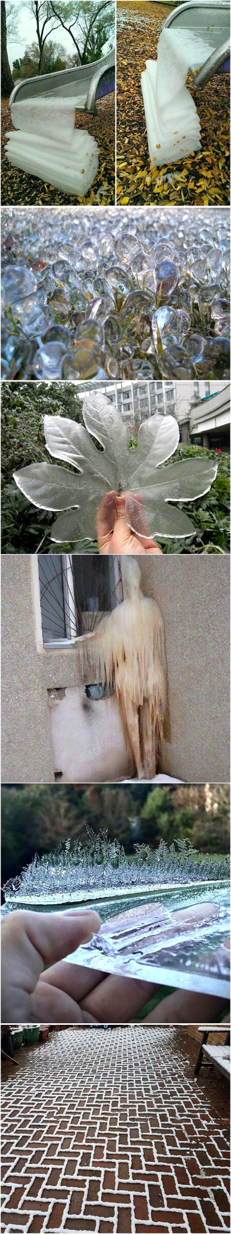 Beautiful Nature image