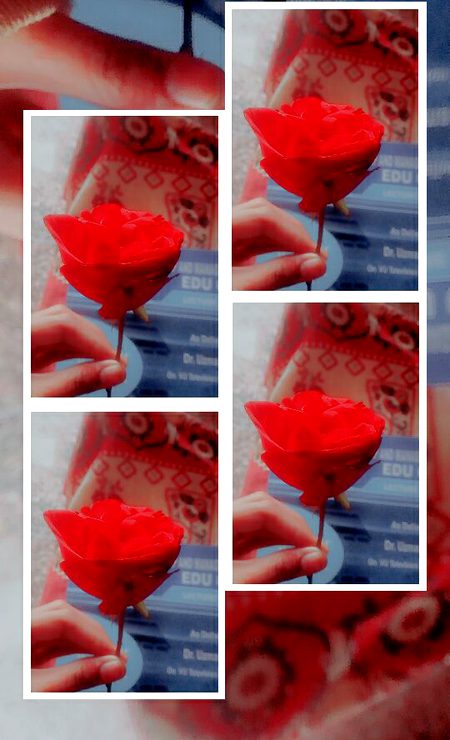 Beautiful Nature image