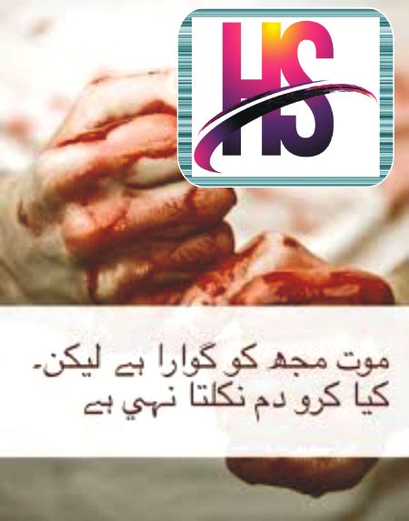 زندگی کا کوئی احساں نہیں ہے مجھ پر
میں نے اپنے ہراک سانس کی قیمت دی ہے