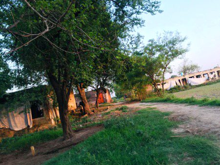 Beautiful Nature image