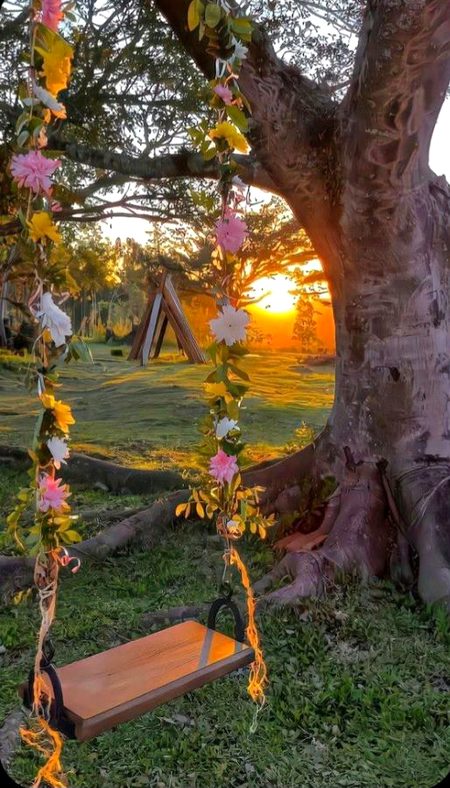 Beautiful Nature image