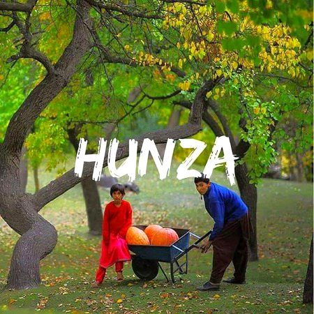 🇵🇰 پاکستان زندہ باد 🇵🇰