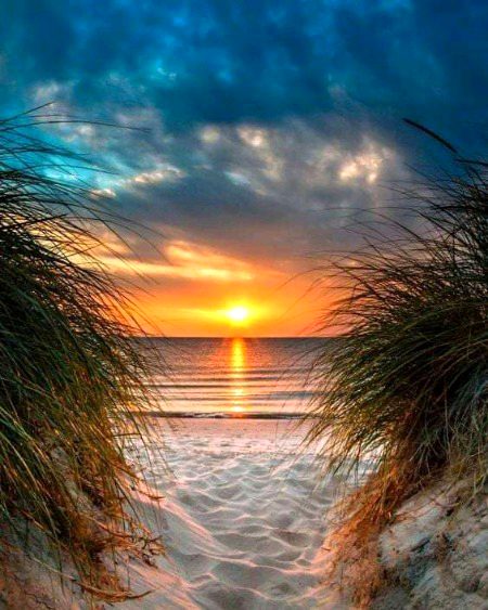 Beautiful Nature image