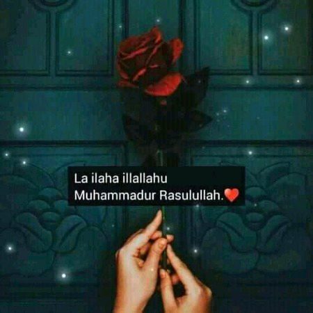 Islamic Quotes image