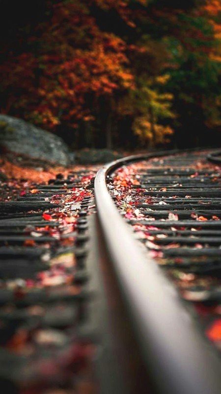 Beautiful Nature image