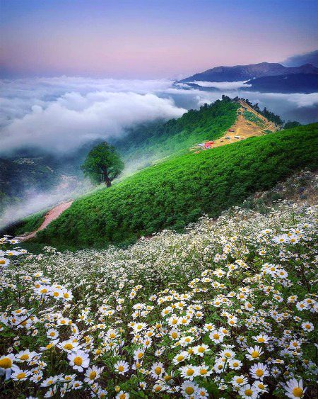 Beautiful Nature image