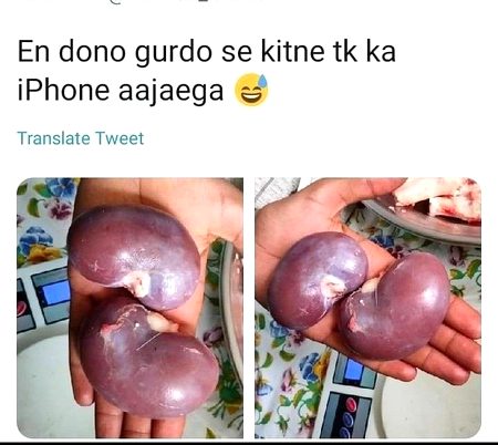 Memes & Satire image