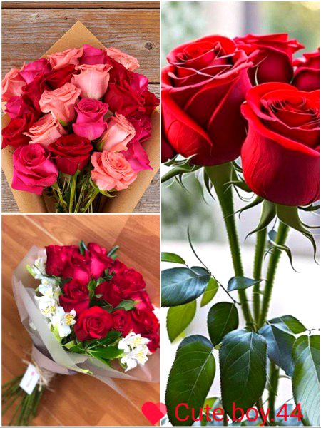 Ye mery saas k bety k lye💐💐🌹🌹❤️❤️