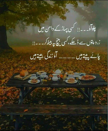 Romantic Poetry image