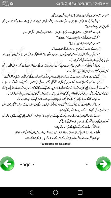 Romantic Novels image