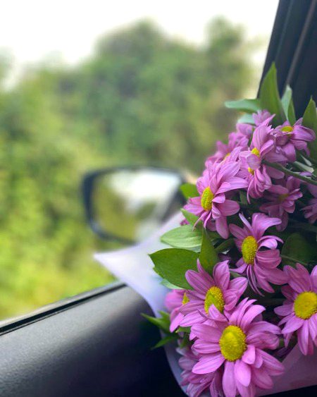 Beautiful Nature image