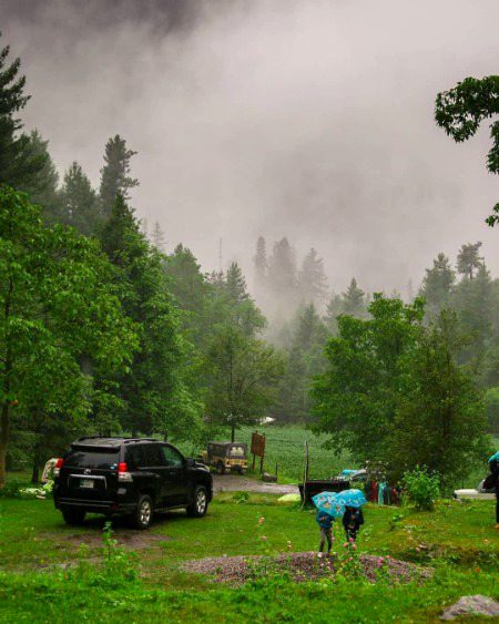 Beautiful Nature image