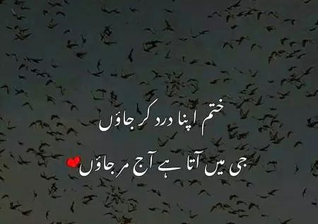 Sad Poetry image