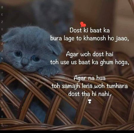 Life Advice image