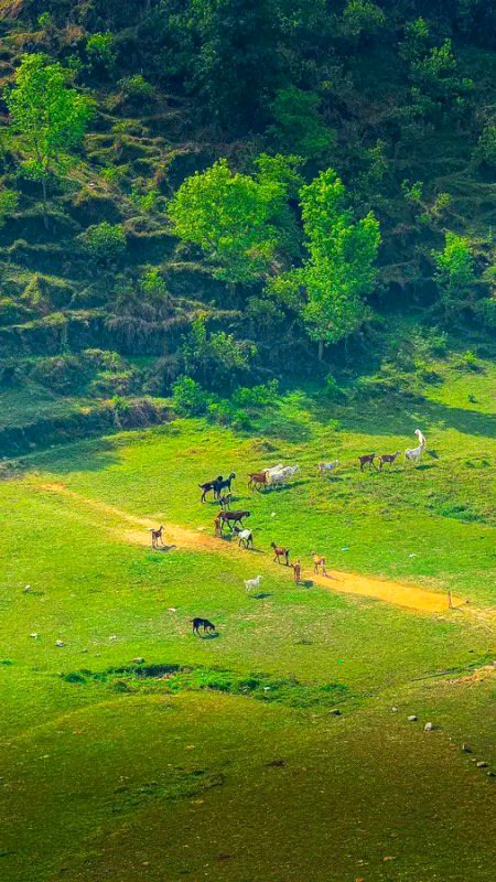 Beautiful Nature image