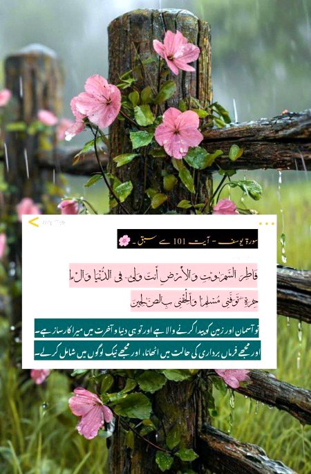 Islamic Quotes image