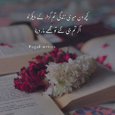 میں نے وقت سے پوچھا میرا قصور کیا ہے 
وہ ہنسا اور بولا 
تو نے ہر کسی کو اپنا سمجھ لیا