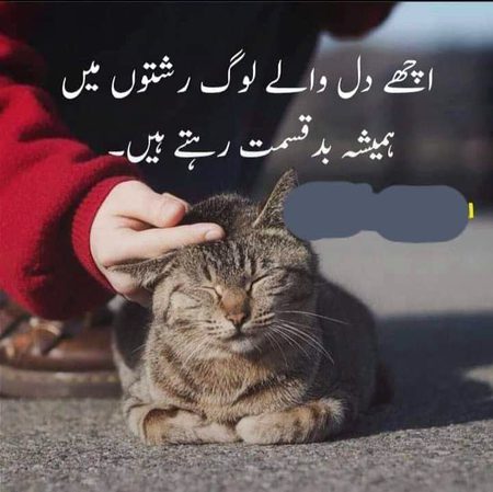 Hmmmm 😶😶