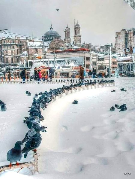 Beautiful Nature image