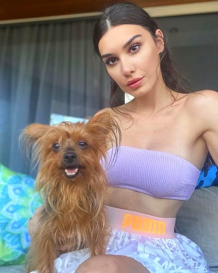 Turkish Celebs image