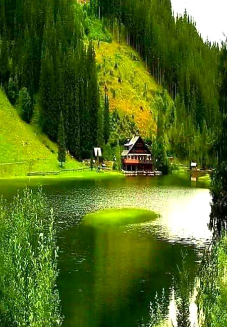 Beautiful Nature image